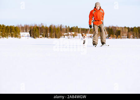 Uomo e cane skijoring sul ghiaccio del lago in Finlandia Foto Stock