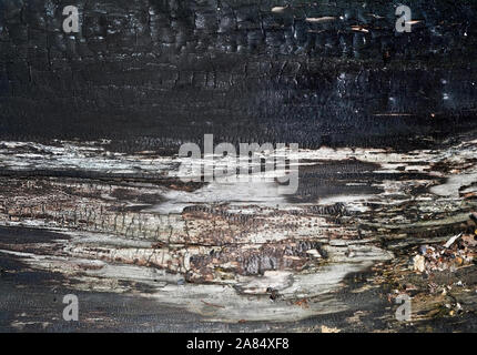 Con uno sfondo di legno bruciato texture. Carbonizzati nero lo sfondo di legno. Foto Stock