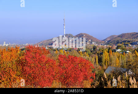 Vista panoramica della parte superiore della città di Almaty in autunno; golden caduta, la bellezza e la grandezza del Kazakistan concept Foto Stock