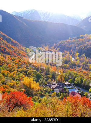 Autunno dorato in gola Medeo; Almaty zona della città, Kazakistan Foto Stock