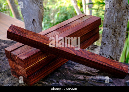 Tronchetti di legno di palissandro birmano, esotica bella boscose pattern per artigianato Foto Stock