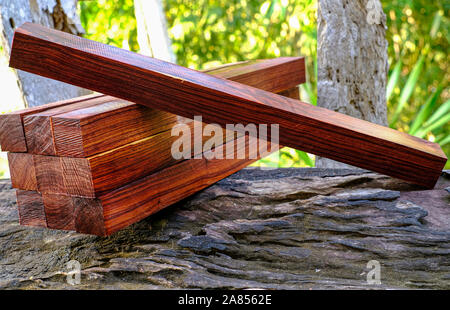 Tronchetti di legno di palissandro birmano, esotica bella boscose pattern per artigianato Foto Stock