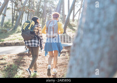 Donne giovani amici con zaini trekking in boschi di sole Foto Stock