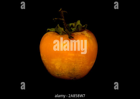 Un bel colore arancione persimmon mature contro uno sfondo nero in stile Halloween Foto Stock
