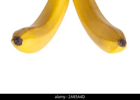 Un mazzetto di due delle banane gialle. Luminose di frutta fresca. Foto isolate per il design. Isolato su uno sfondo bianco. Foto Stock