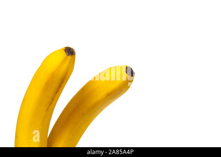 Un mazzetto di due delle banane gialle. Luminose di frutta fresca. Foto isolate per il design. Isolato su uno sfondo bianco. Foto Stock