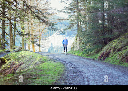 Senior uomo jogging sul sentiero nel bosco in remoto Foto Stock