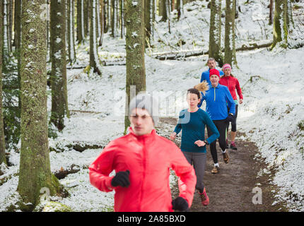 Gli amici di jogging sul sentiero nel bosco innevato Foto Stock