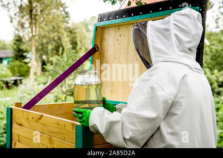 La preparazione di api per l'inverno, bee keeper alimentazione delle api con un vasetto di fatto in casa di sciroppo di zucchero in autunno in modo che possano sopravvivere al freddo inverno nel nord Europa. Foto Stock