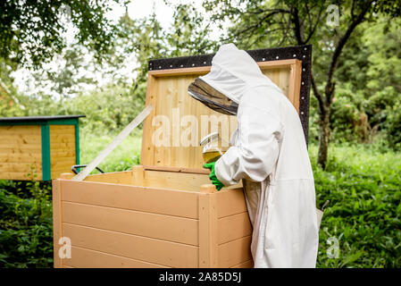 La preparazione di api per l'inverno, bee keeper alimentazione delle api con un vasetto di fatto in casa di sciroppo di zucchero in autunno in modo che possano sopravvivere al freddo inverno nel nord Europa. Foto Stock