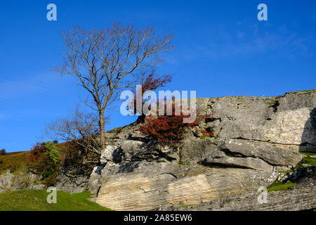 Colori autunnali nella valle di Dee, Llangollen, Denbighshire, Galles Foto Stock