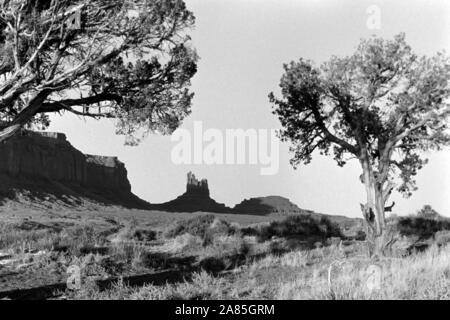 Landschaft in Utah, il Parco Nazionale di Arches, 1960er. Paesaggio in Utah, il Parco Nazionale di Arches, 1960s. Foto Stock