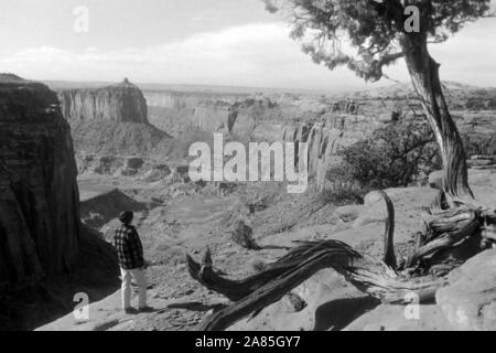 Landschaft in Utah, il Parco Nazionale di Canyonlands, 1960er. Paesaggio in Utah, il Parco Nazionale di Canyonlands, 1960s. Foto Stock