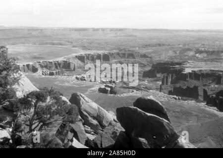 Übersicht über den Green River in Utah, il Parco Nazionale di Canyonlands, 1960er. Green River si affacciano in Utah, il Parco Nazionale di Canyonlands, 1960s. Foto Stock