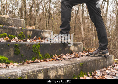 Turisti in una foresta salendo le scale antiche . Concetto di viaggio. Foto Stock