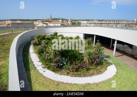 Vista del moderno Roof Garden, a forma di anfiteatro romano, del Musée de la Romanité, o Museo Romano, (2018) e Yucca piante Nimes Francia Foto Stock