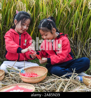 Changxing cinese della provincia dello Zhejiang. 6 Nov, 2019. Bambini Carte tagliato nella forma di riso orecchie sotto la guida del loro insegnante in un campo di riso in Lijiaxiang township di Changxing County, est della Cina di Provincia dello Zhejiang, nov. 6, 2019. Utilizzando terreni agricoli locali risorse, un asilo nido nel Lijiaxiang Township della contea di Changxing terrà una classe speciale in campi di riso mercoledì per aiutare i bambini a imparare la conoscenza del riso e di sperimentare la gioia del raccolto attraverso una serie di attività all'aperto. Credito: Xu Yu/Xinhua/Alamy Live News Foto Stock