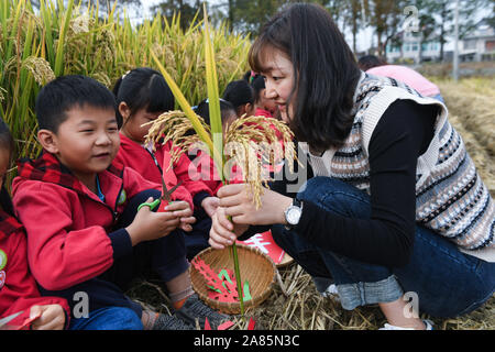 Changxing cinese della provincia dello Zhejiang. 6 Nov, 2019. Bambini Carte tagliato nella forma di riso orecchie sotto la guida del loro insegnante in un campo di riso in Lijiaxiang township di Changxing County, est della Cina di Provincia dello Zhejiang, nov. 6, 2019. Utilizzando terreni agricoli locali risorse, un asilo nido nel Lijiaxiang Township della contea di Changxing terrà una classe speciale in campi di riso mercoledì per aiutare i bambini a imparare la conoscenza del riso e di sperimentare la gioia del raccolto attraverso una serie di attività all'aperto. Credito: Xu Yu/Xinhua/Alamy Live News Foto Stock