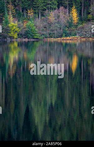 Colori d'autunno alberi e riflessioni in una calma ancora Loch Chon nelle Highlands scozzesi Foto Stock