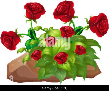 Rose rosse e le rocce su sfondo bianco illustrazione Illustrazione Vettoriale