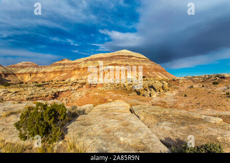 Valle della cattedrale, Capital Reef National Park, Cathedral Road, Utah. Foto Stock