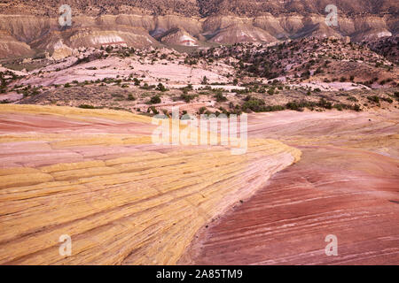 Formazioni di roccia gialla, intorno al Cockscombe Uplift sui pioppi neri americani Canyon Road, Utah, Stati Uniti d'America Foto Stock