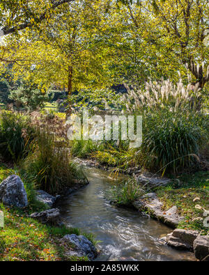 Del Giardino Botanico del Missouri Foto Stock