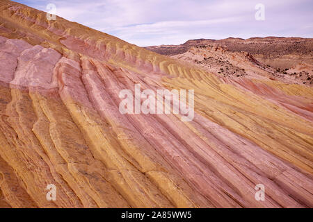 Formazioni di roccia gialla, intorno al Cockscombe Uplift sui pioppi neri americani Canyon Road, Utah, Stati Uniti d'America Foto Stock