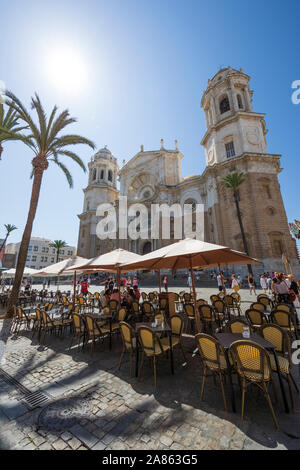 Caffè al di fuori della cattedrale di Cadice in Plaza de la Catedral, Cadice, Andalusia, Spagna, Europa Foto Stock