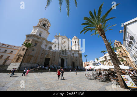 Caffè al di fuori della cattedrale di Cadice in Plaza de la Catedral, Cadice, Andalusia, Spagna, Europa Foto Stock