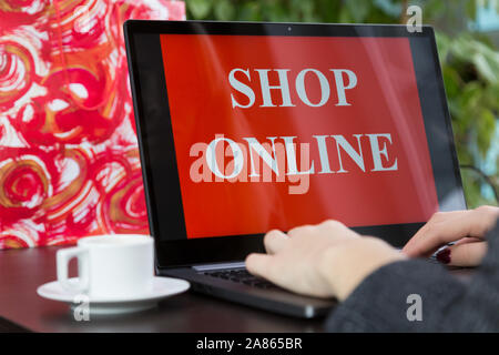 Ragazza fa acquisti su internet in ambienti interni Foto Stock