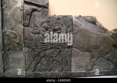 Sollievo dal palazzo di Dario a Persepoli, Iran, visualizzato presso il British Museum di Londra, Regno Unito Foto Stock