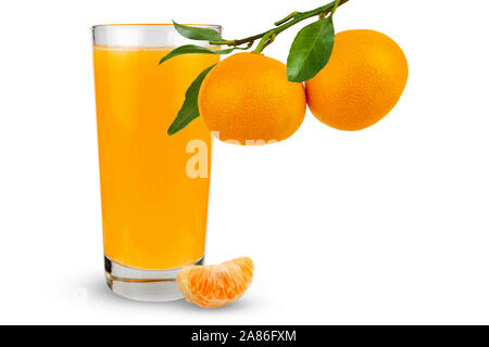 I tangerini pendono su un ramo sullo sfondo di un bicchiere con succo. Isolare. Foto Stock