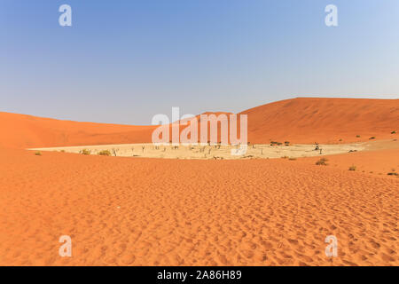 Spooky Dead Vlei Pan di argilla in Namibia in Africa Foto Stock