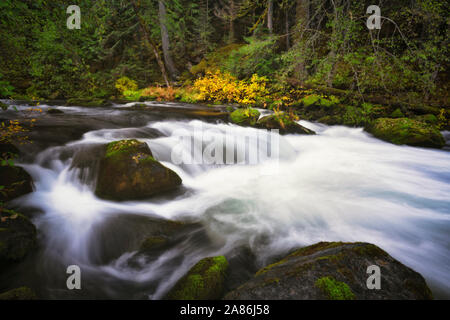 Il flusso d'autunno della selvaggia e Scenic Clackamas superiore fiume precipita attraverso Oregon's Mount Hood National Forest. Foto Stock