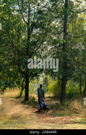 Golf caddie carriyng borsa da golf camminando sul percorso tra gli alberi Foto Stock