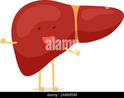 Cartoon carino sano di fegato umano felice commozione carattere. Vettore sorridente divertenti reversibile ghiandola esocrina organo interno illustrazione mascotte Illustrazione Vettoriale