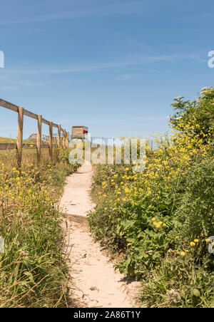 Sentiero costiero passeggiando tra St Ives e Hayle, estate in Cornovaglia. Foto Stock