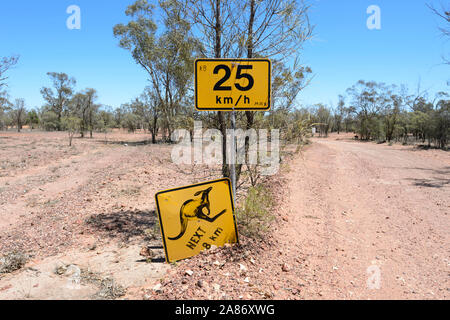 Cartello stradale avvertimento contro i canguri nel Outback, il Grawin, Queensland, QLD, Australia Foto Stock