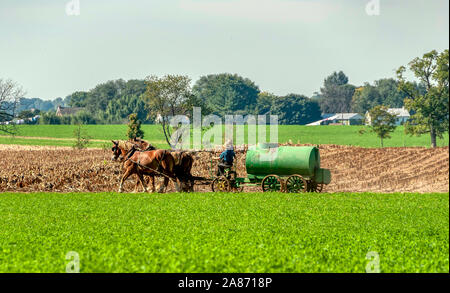 Amish padre figlio di insegnamento come diffusione di concime liquido su una soleggiata giornata autunnale Foto Stock