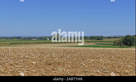 Vista di terreni agricoli che sono stati raccolti ed è pronta per la mietitura Foto Stock