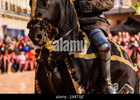 Dettaglio della corazza di un cavaliere montato a cavallo durante un display a una festa medievale. Foto Stock