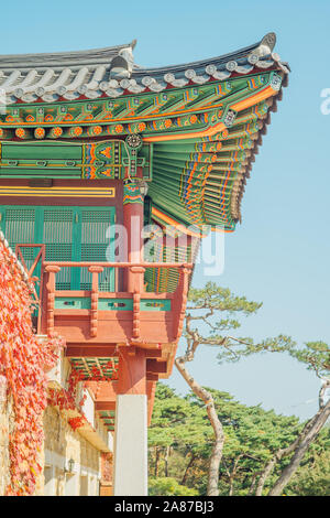 Il coreano tempio buddista e il suo tetto e grondaia che ha vari colori splendidi in una bella giornata. Foto Stock