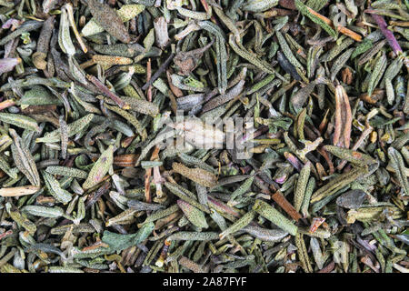 Macro shot di timo essiccato lascia chiudere in background. Sfondo di timo. Le erbe. Impianto di timo close-up Foto Stock