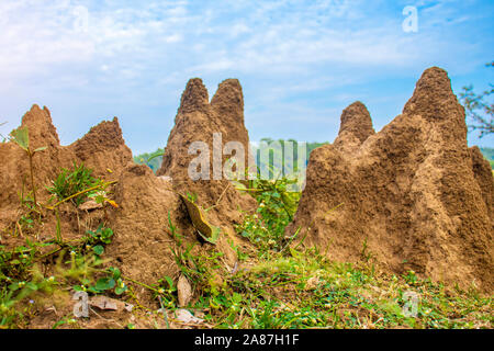 Termite gigante tumuli.Sijhora Madhya Pradesh, India Foto Stock