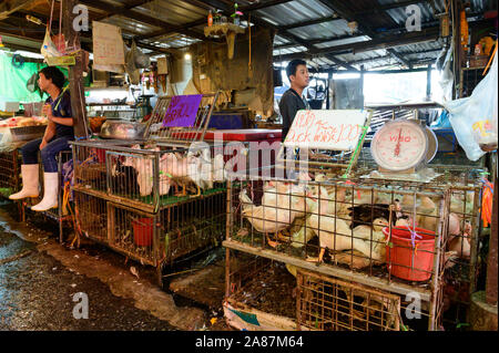 Vivere le anatre per vendita a Khlong Toei più grande mercato mercato fresco Foto Stock