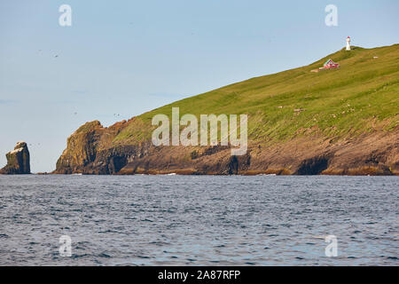 Mykines faro e le scogliere su isole Faerøer. Escursionismo landmark. Danimarca Foto Stock