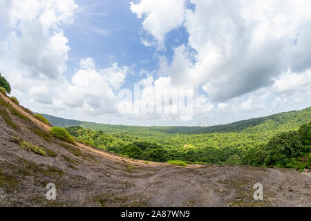 Vista della foresta tropicale nel Parco Nazionale di Sanjay Gandhi Mumbai India Maharashtra. Vicino a kanheri caves in Mumbai India . Foto Stock