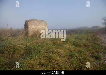 Balla di fieno sul prato durante la mattinata nebbiosa Foto Stock