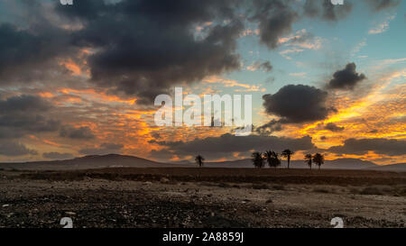 Bel tramonto nel comune di Antigua, Fuerteventura, Isole canarie, Spagna, in un area desertica con palme Foto Stock